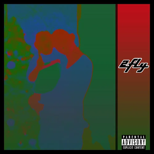 2fly
