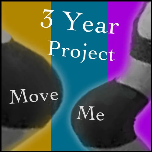 3 Year Project;'