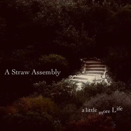 A Straw Assembly