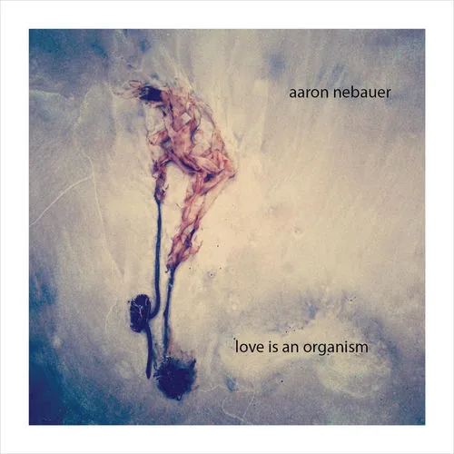 Aaron Nebauer