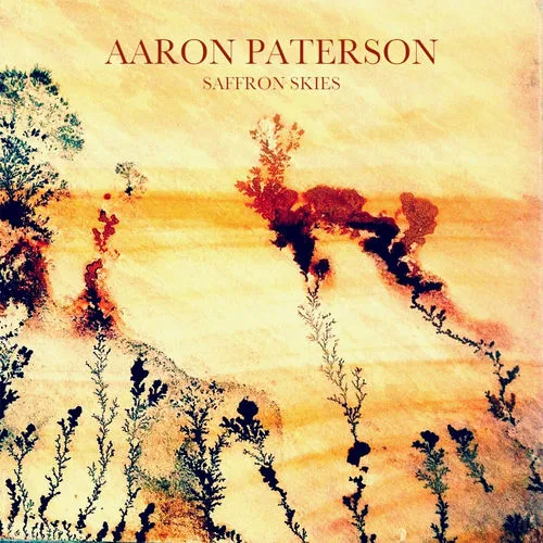 Aaron Paterson