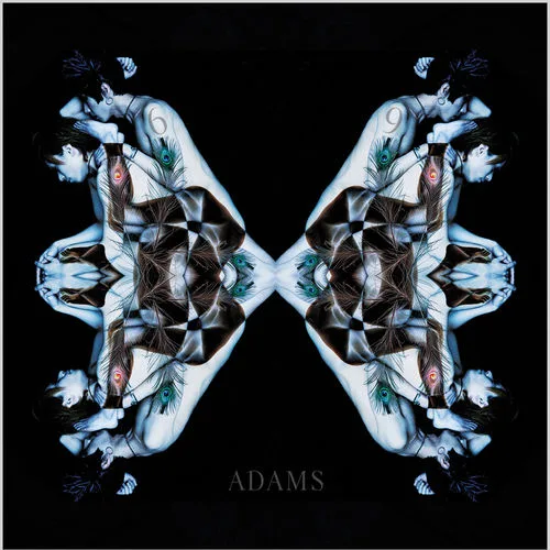Adams vs Evolution