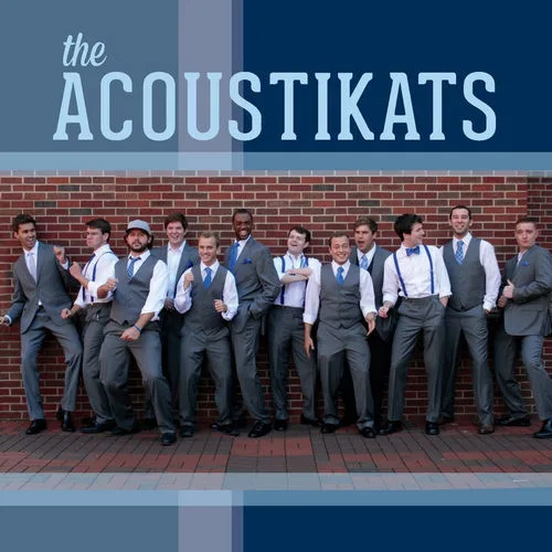 AkustiKats