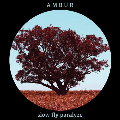 Ambur