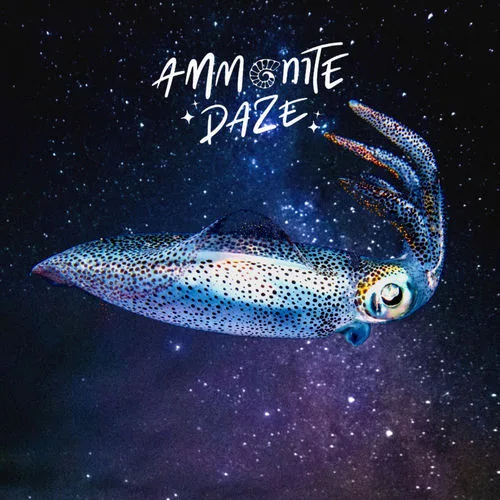 Ammonite Daze