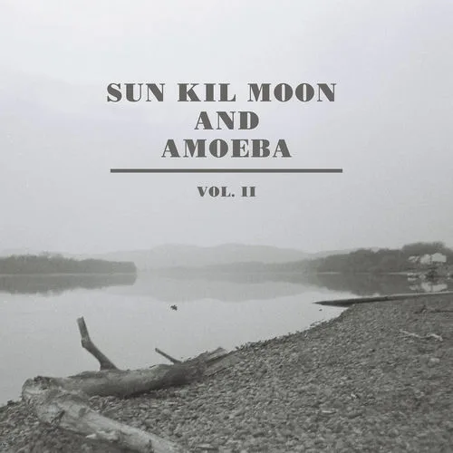 AMOEBA
