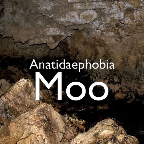 Anatidaephobia