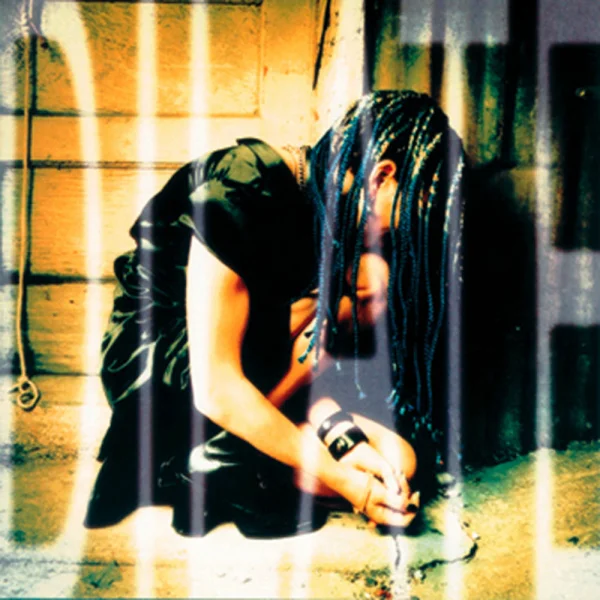 Ani DiFranco