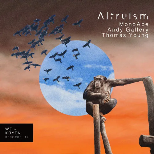 Ant Gallery
