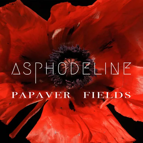 Asphodeline