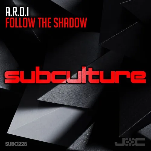 A.U.D.I.O