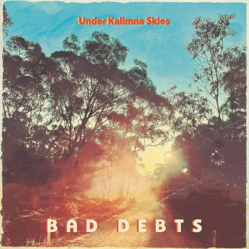 Bad Debts