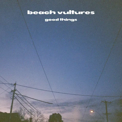 Beach Vultures