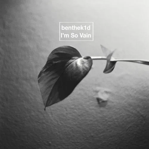 benthek1d