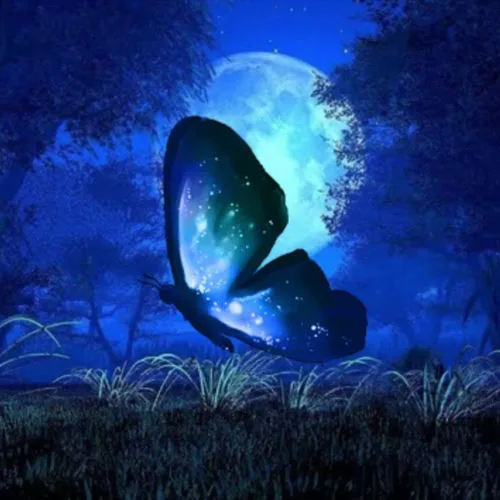 BEYONDVERSE