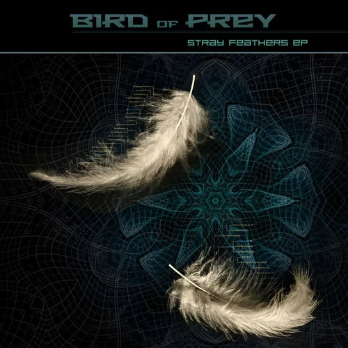 Bird to Prey