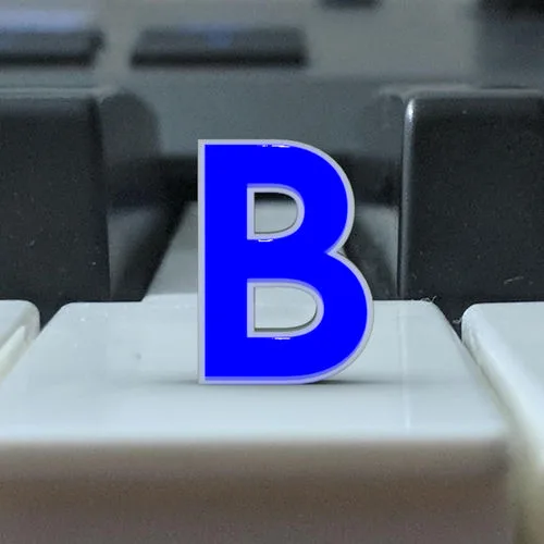 Bird.wav