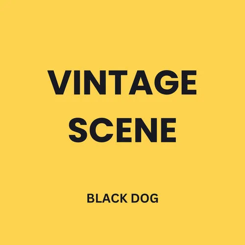 BLACK DOG