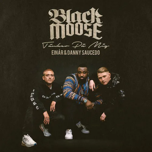 Black Moose