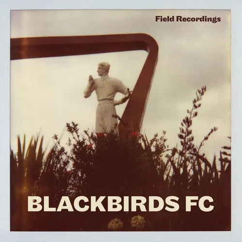 Blackbirds F.C.