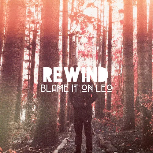 Blame It On Leo