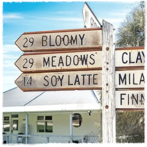 Bloomy Meadows