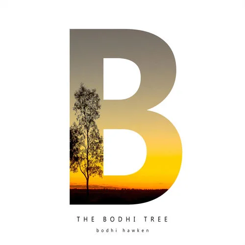 Bodhi Hawken