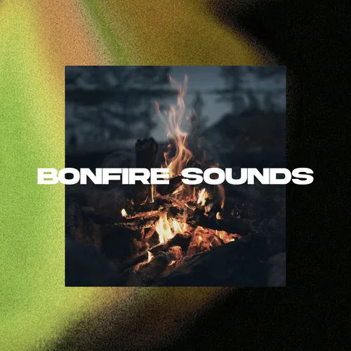Bon Fire