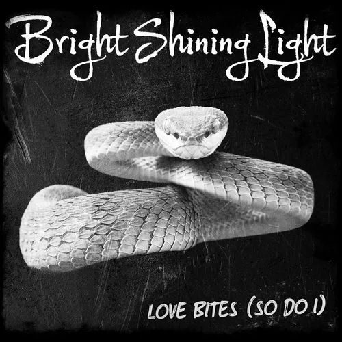 Bright Shining Lies