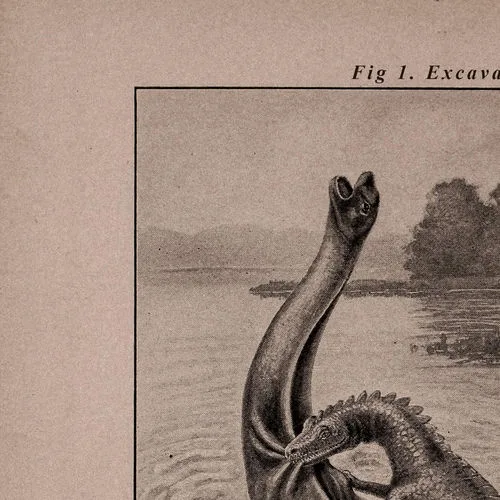 Bruntasaurus