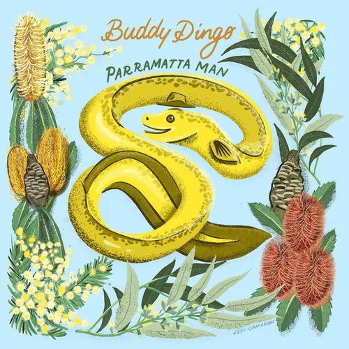 Buddy Dingo