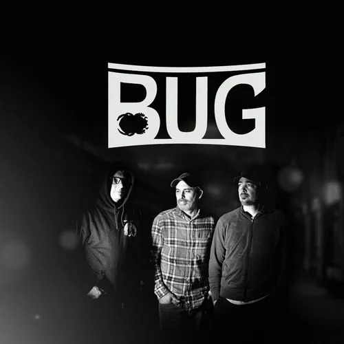 bug