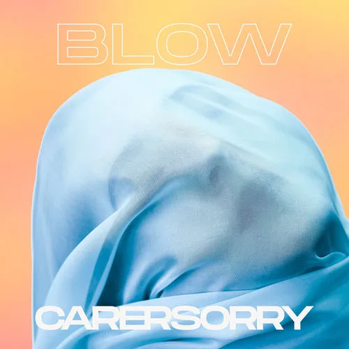 Carersorry