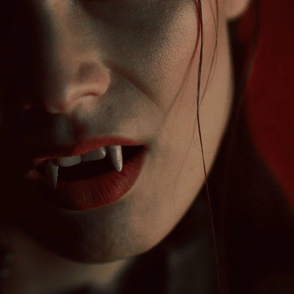 CARPENTER BRUT