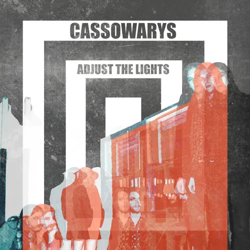 Cassowarys