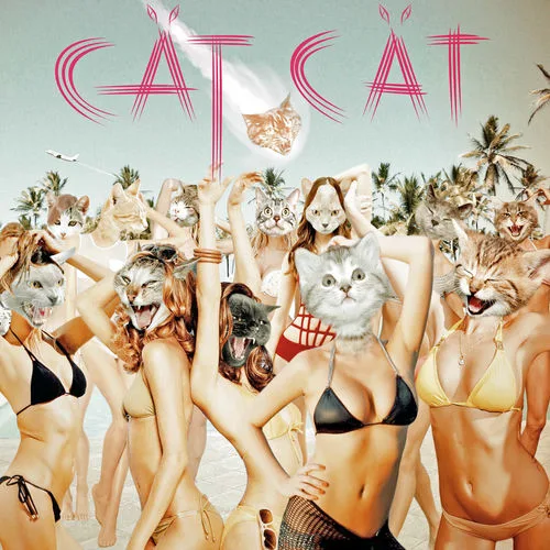 CAT CAT