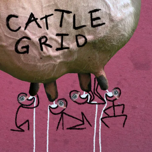 Cattlegrid