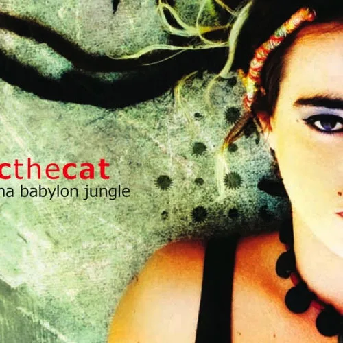 CC The Cat