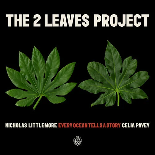 Celia Pavey