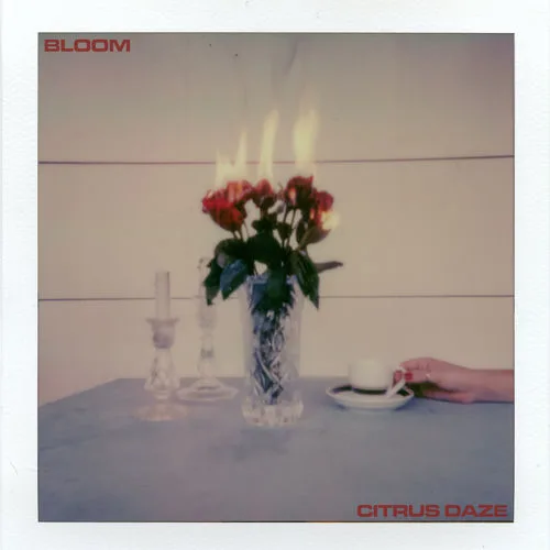 Citrus Daze