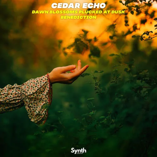 clear echo