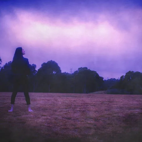 Crimes Against the Crown