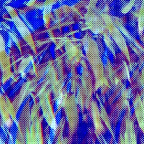 Crystalis