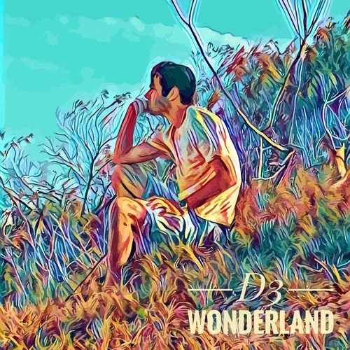 D3 Wonderland