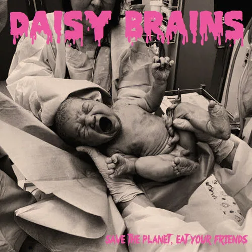 Daisy Brains
