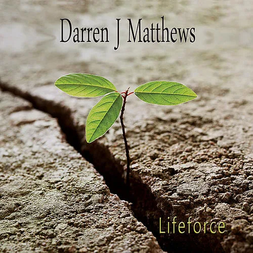Darren J Matthews