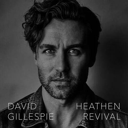 David Gillespie