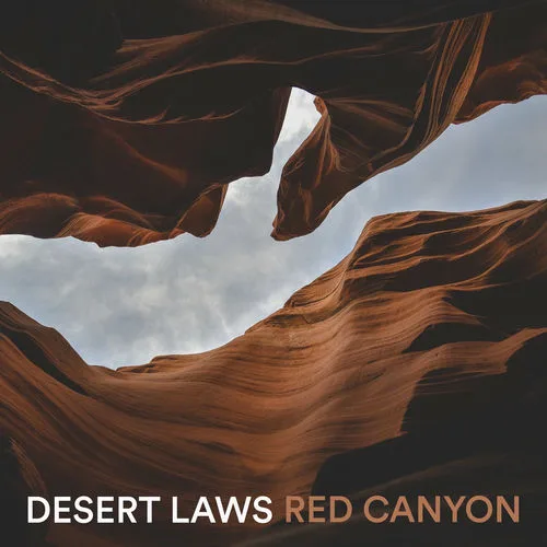 Desert Bars