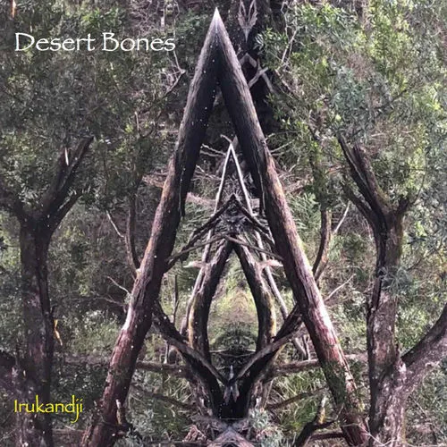 Desert bones