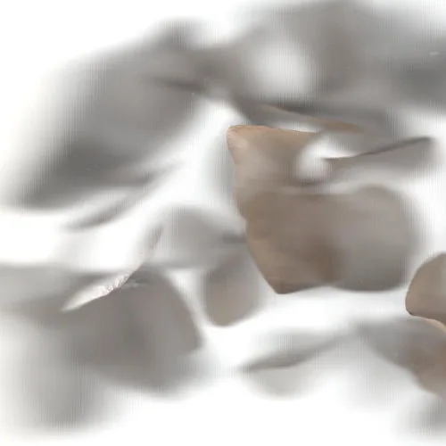 DIADROME